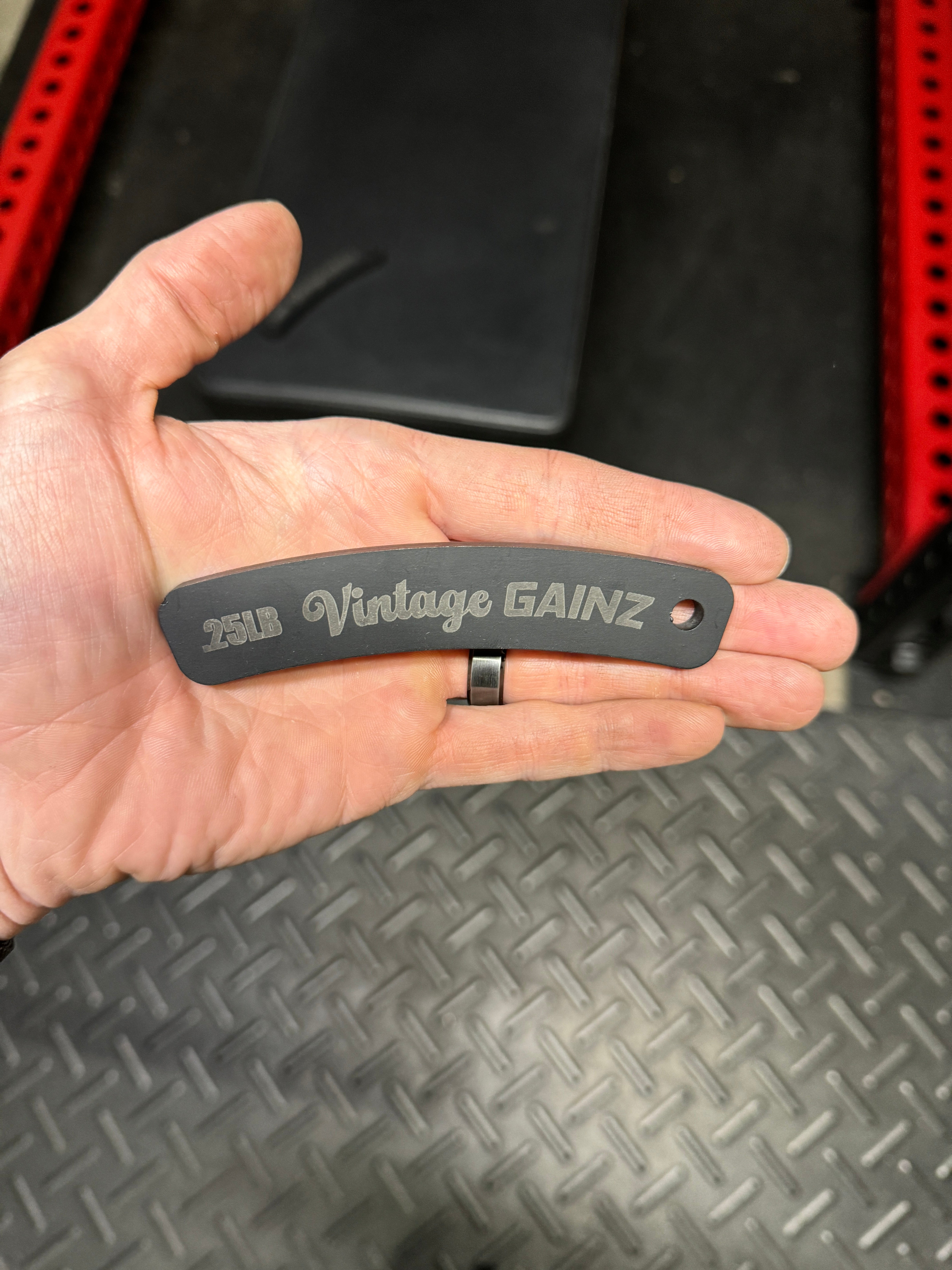 Vintage Gainz .25LB Magnetic Weight Plate Set