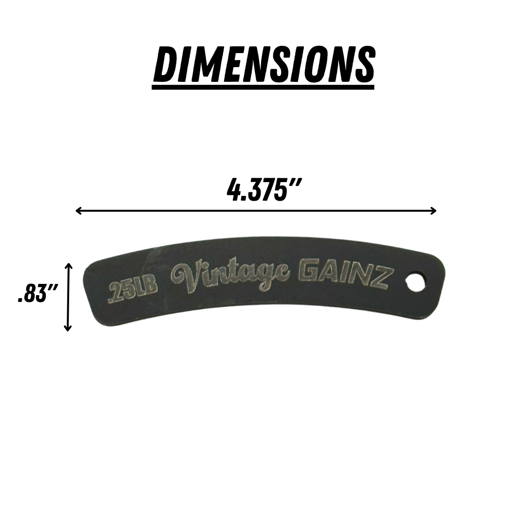 Vintage Gainz .25LB Magnetic Weight Plate Set