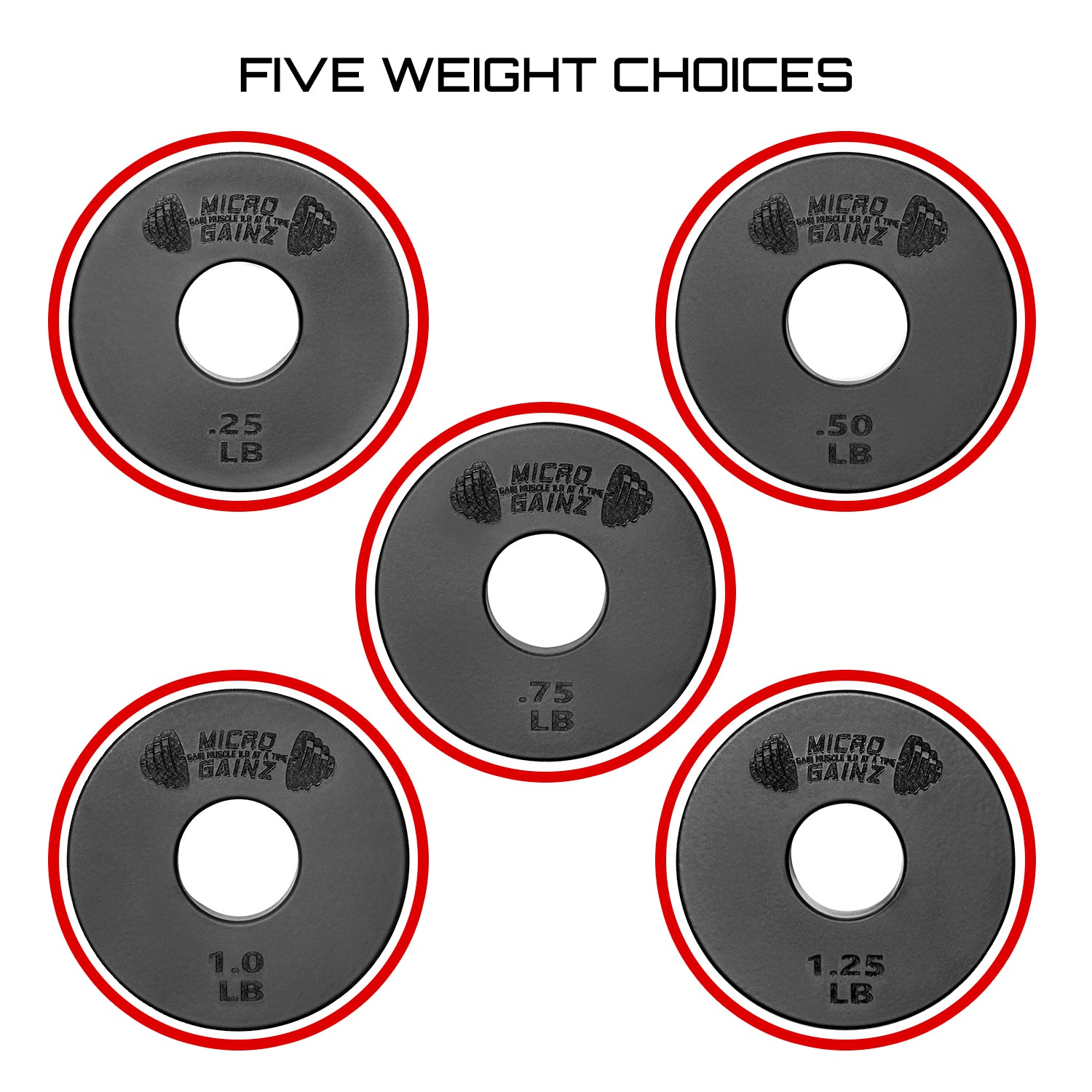 Micro Gainz Standard 1-Inch Center Hole Fractional Weight Plates Set of 10 Plates .25LB-1.25LB  w/ Bag