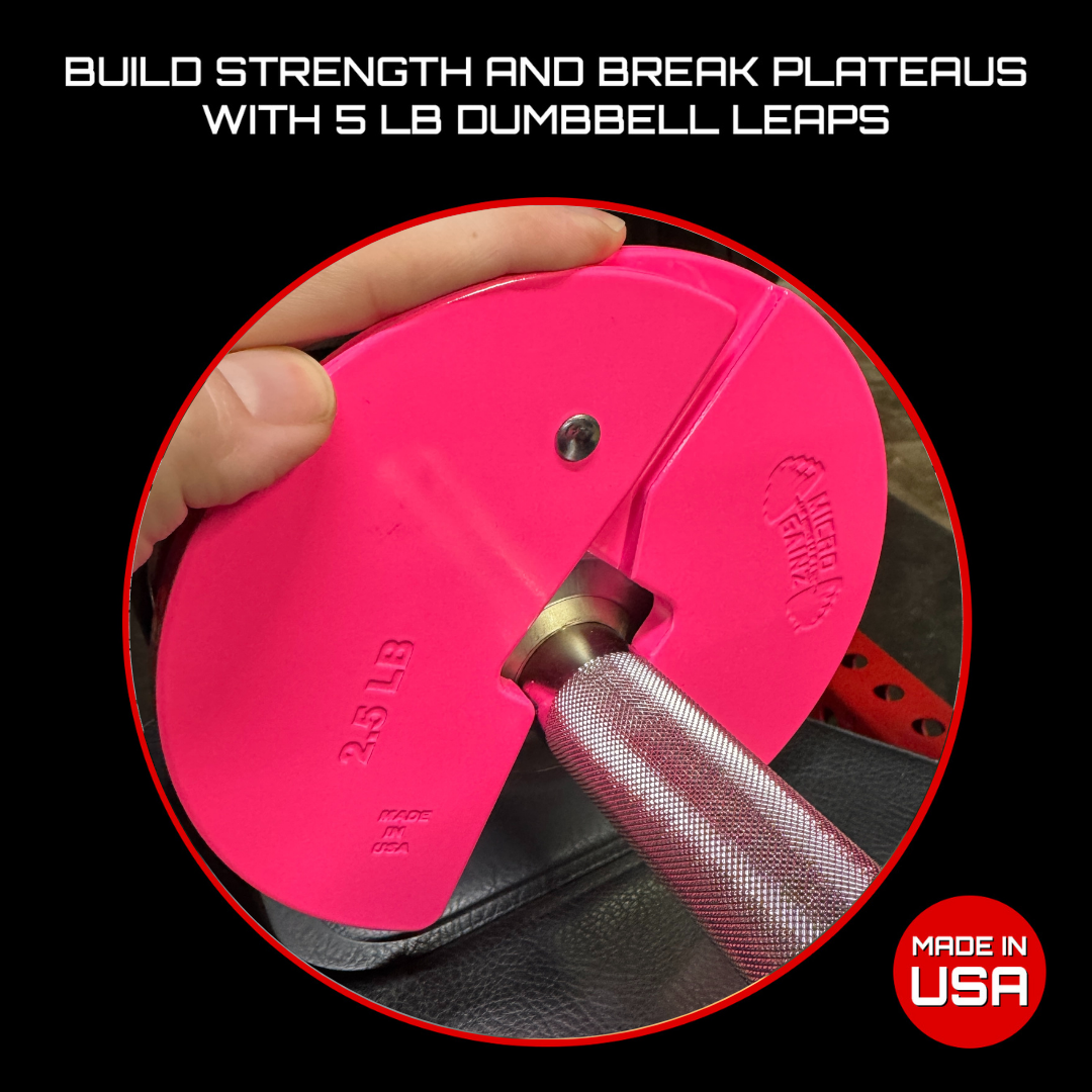 Micro Gainz 2.5LB Dumbbell Fractional Weight Plate