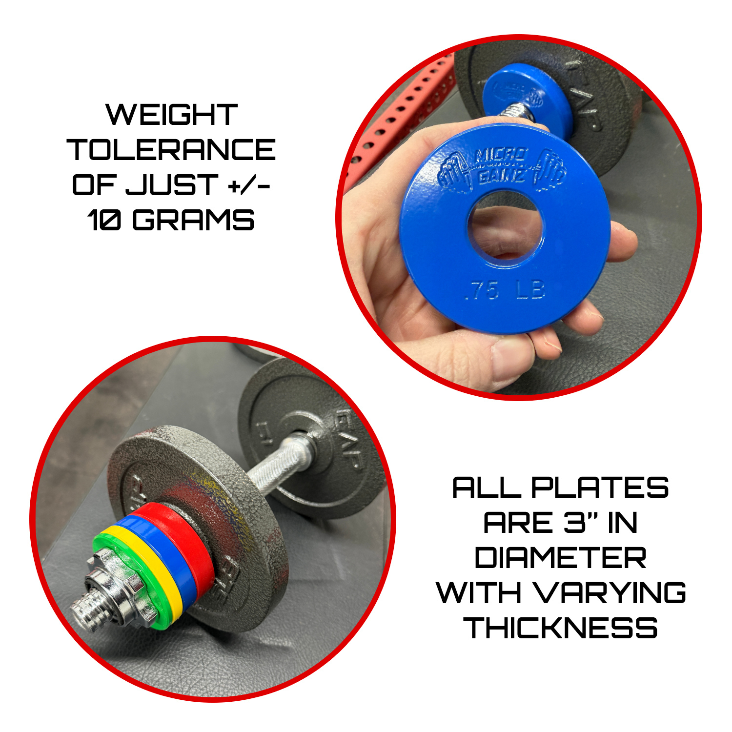 Micro Gainz Standard 1-Inch Center Hole Fractional Weight Plates Set of 10 Plates .25LB-1.25LB w/ Bag