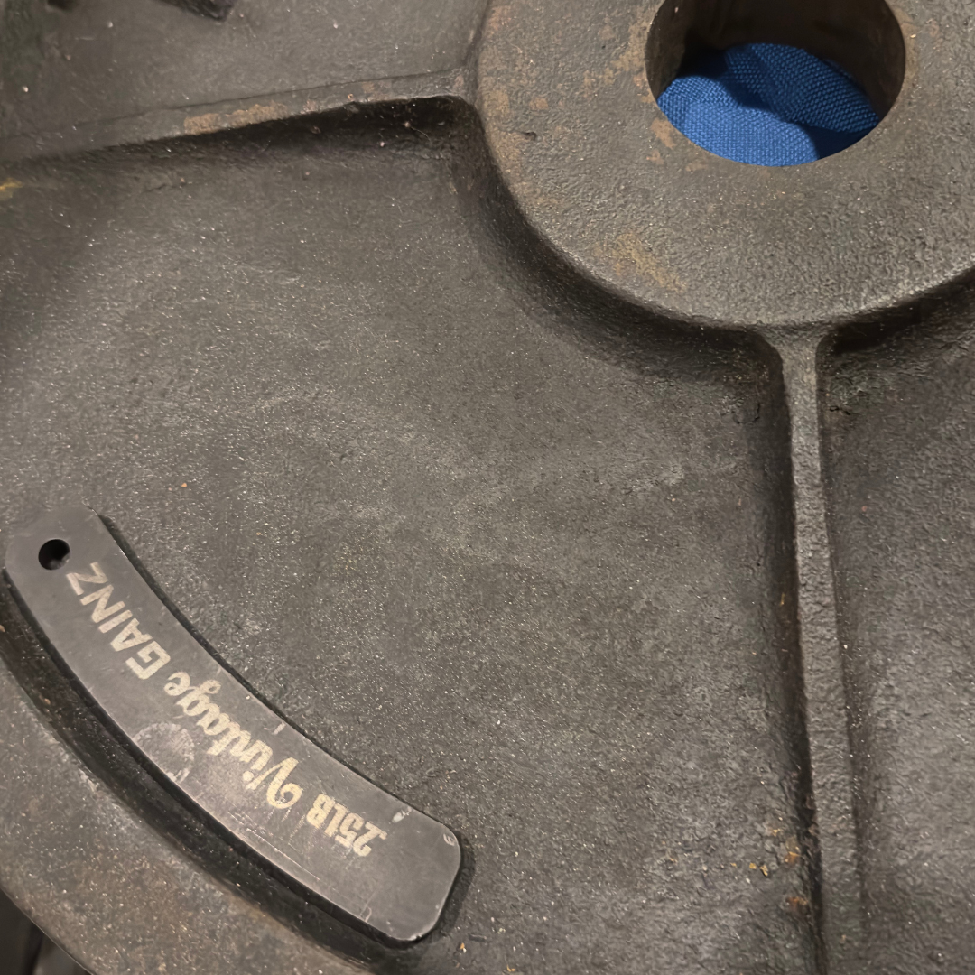 Vintage Gainz .25LB Magnetic Weight Plate Set