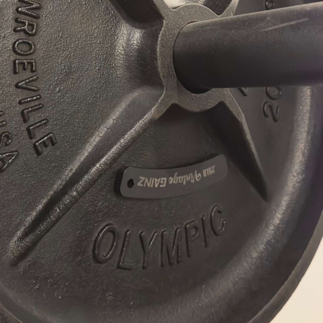 Vintage Gainz .25LB Magnetic Weight Plate Set