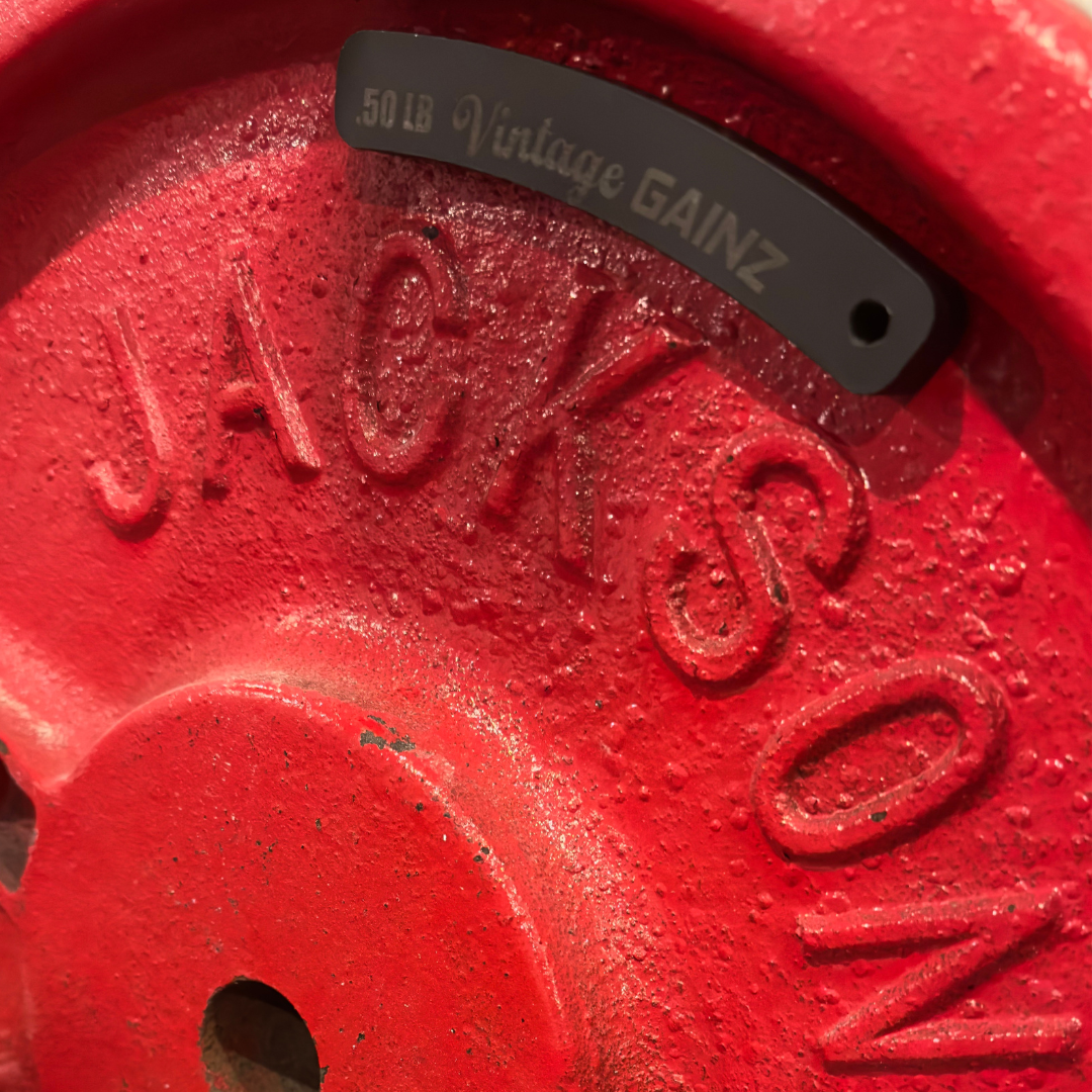 Vintage Gainz .50LB Magnetic Weight Plate Set