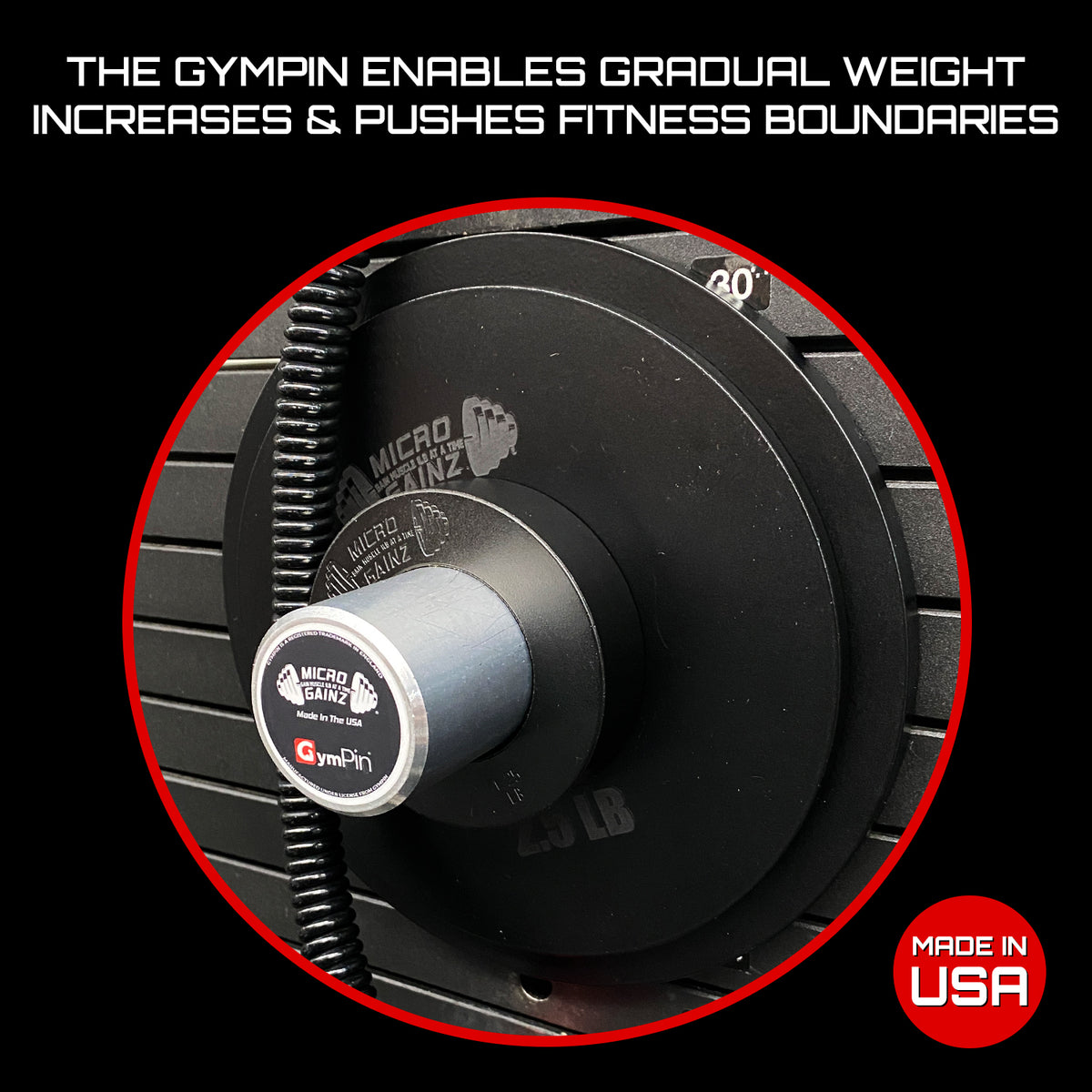 Micro Gain One Micro Gainz GymPin (3