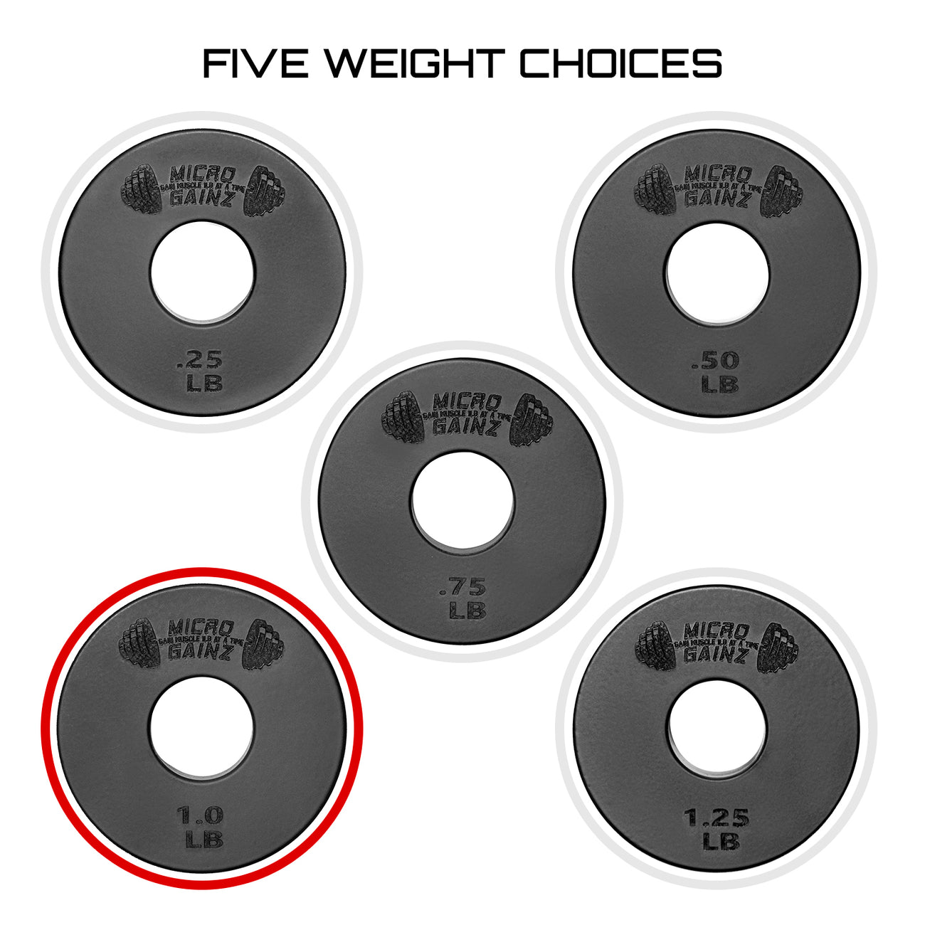 Micro Gain One Micro Gainz Standard 1-Inch Center Hole Fractional Weight Plates Pair