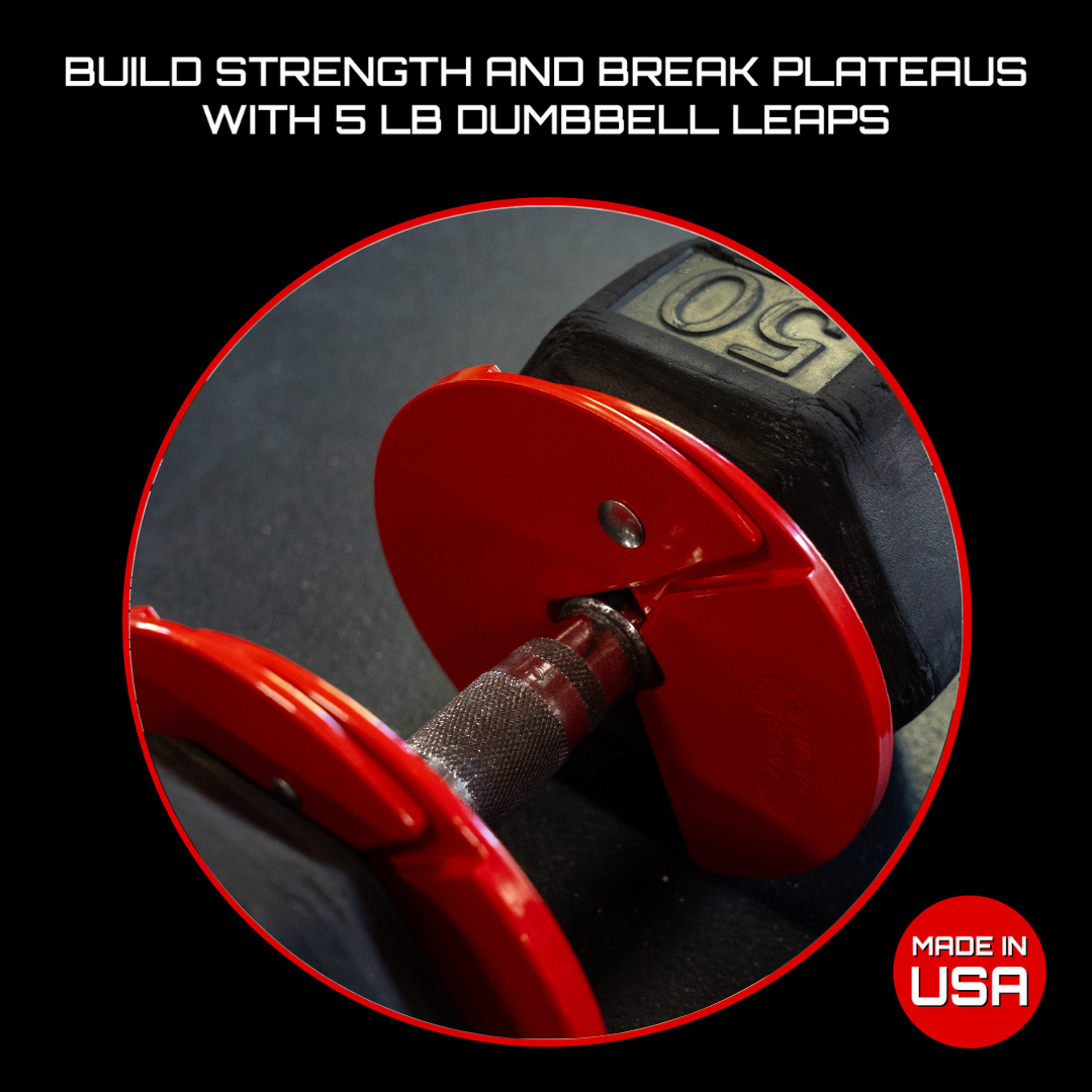 Micro Gainz 2.5LB Dumbbell Fractional Weight Plate