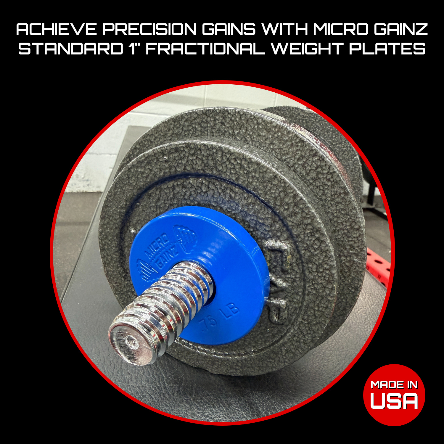 Micro Gainz Standard 1-Inch Center Hole Fractional Weight Plates Pair of Blue .75LB Plates