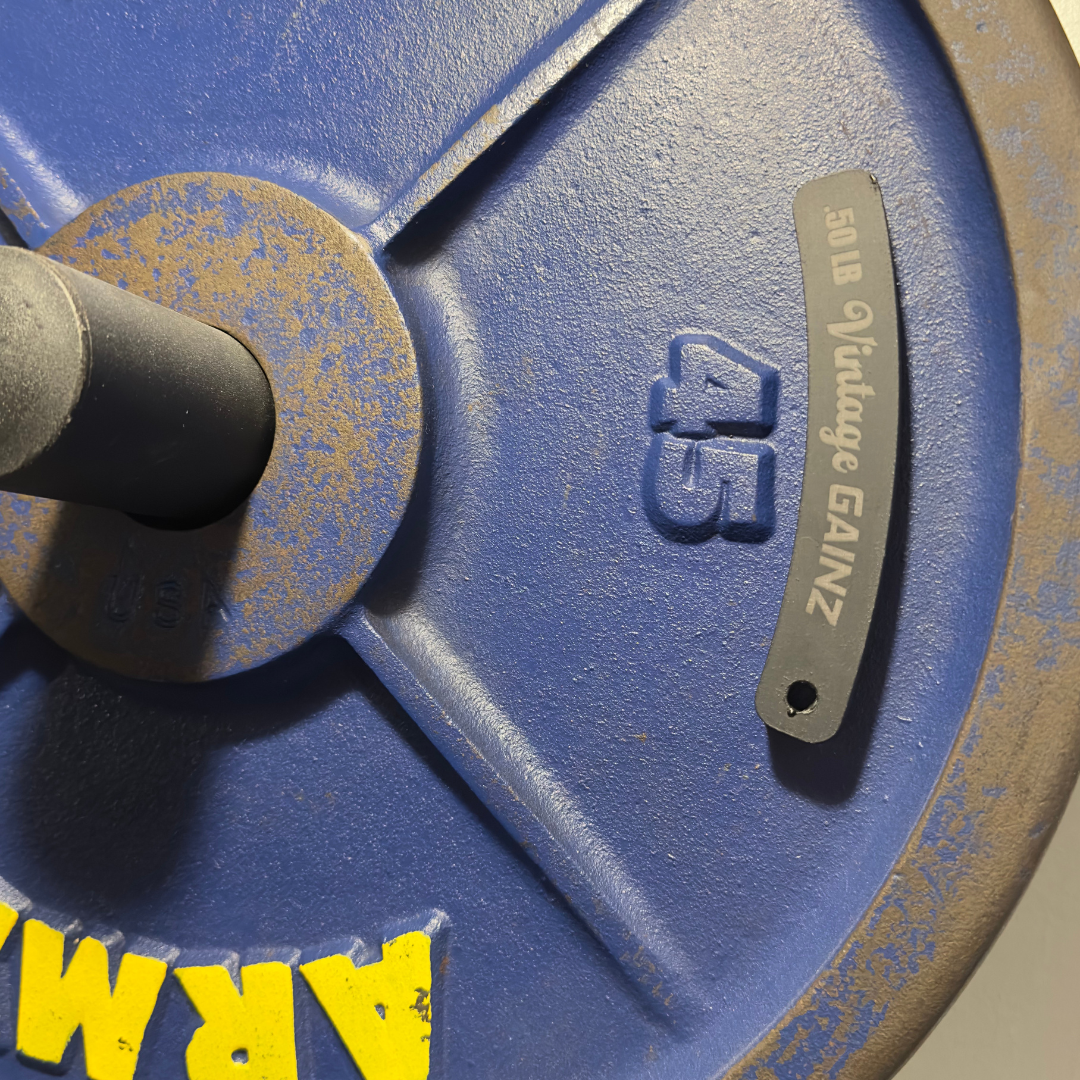 Vintage Gainz .50LB Magnetic Weight Plate Set